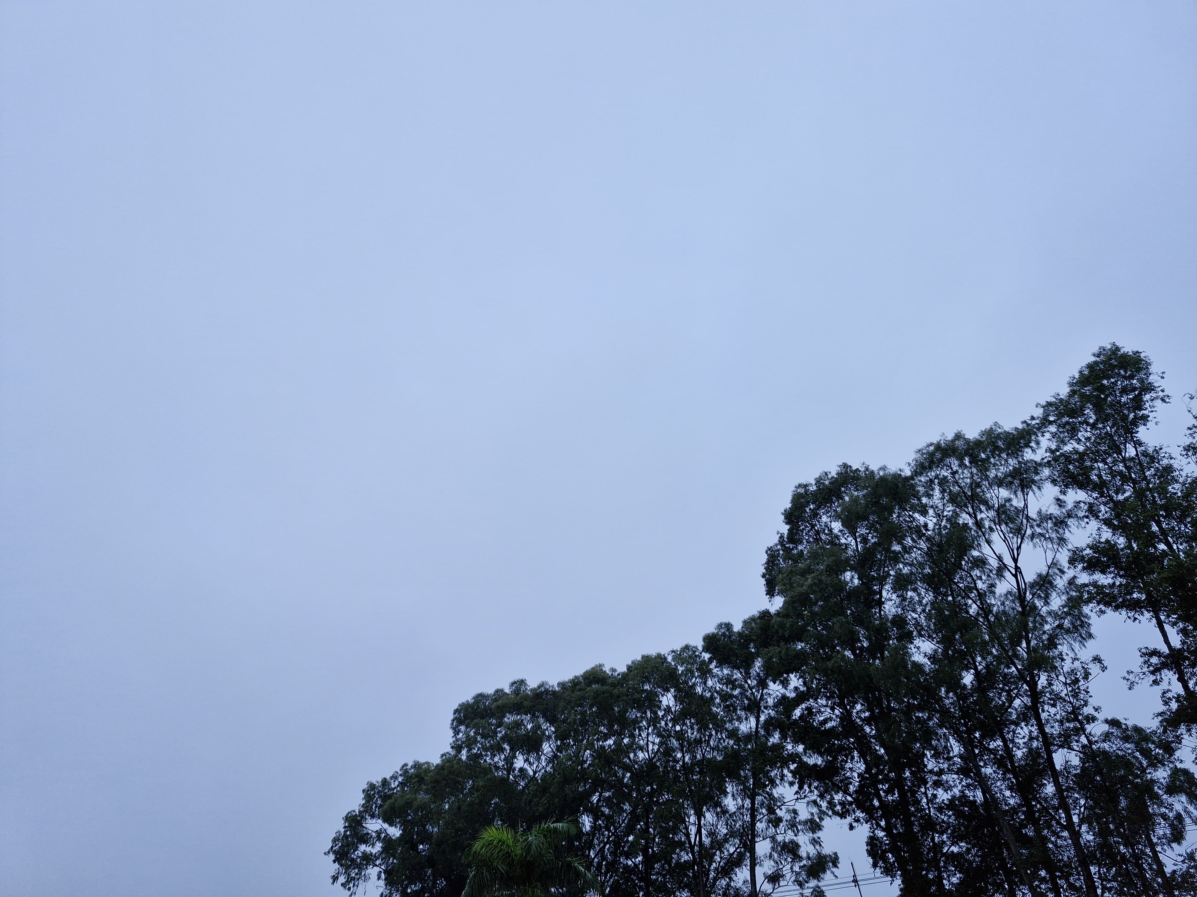 Previsão do tempo indica quinta-feira com muitas nuvens e temperaturas amenas em Naviraí