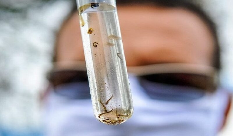 Mato Grosso do Sul divulga novo levantamento sobre risco de dengue nos municípios