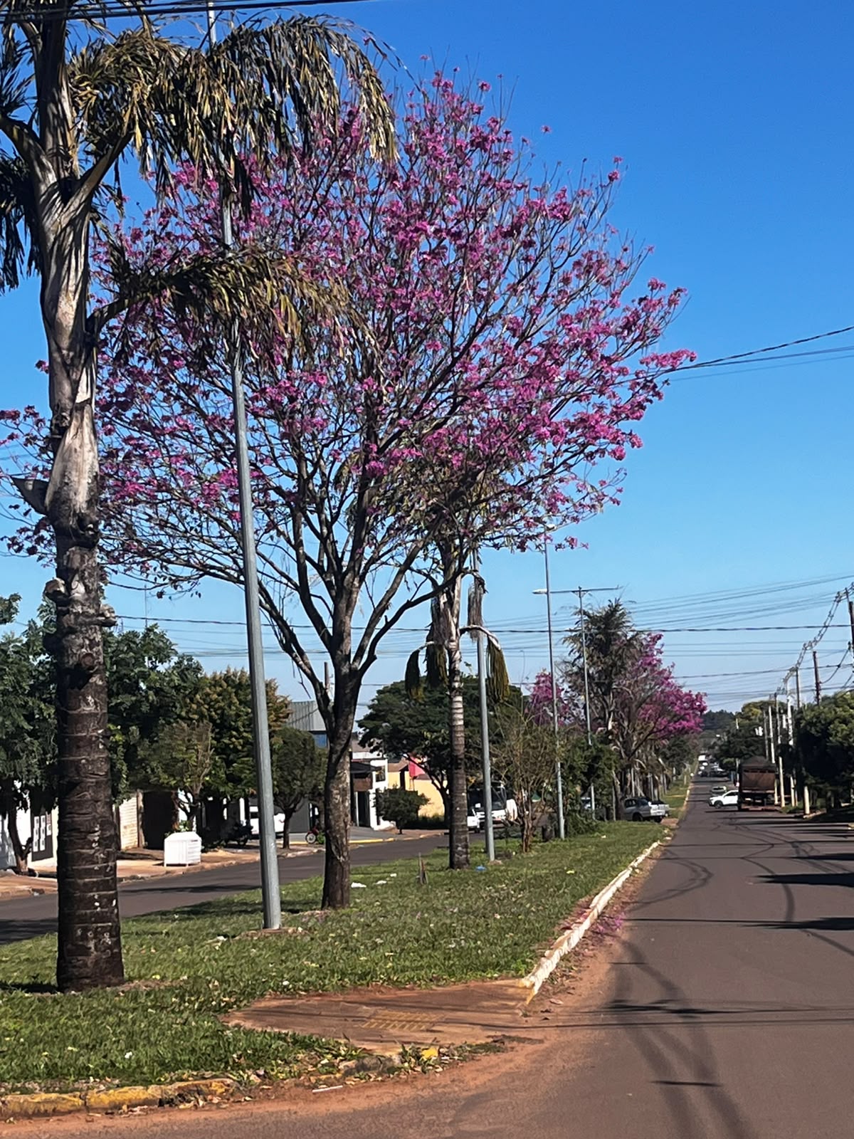 Tempo firme e manhãs frias marcam a quarta-feira em Naviraí; calor volta a ganhar força nos próximos dias