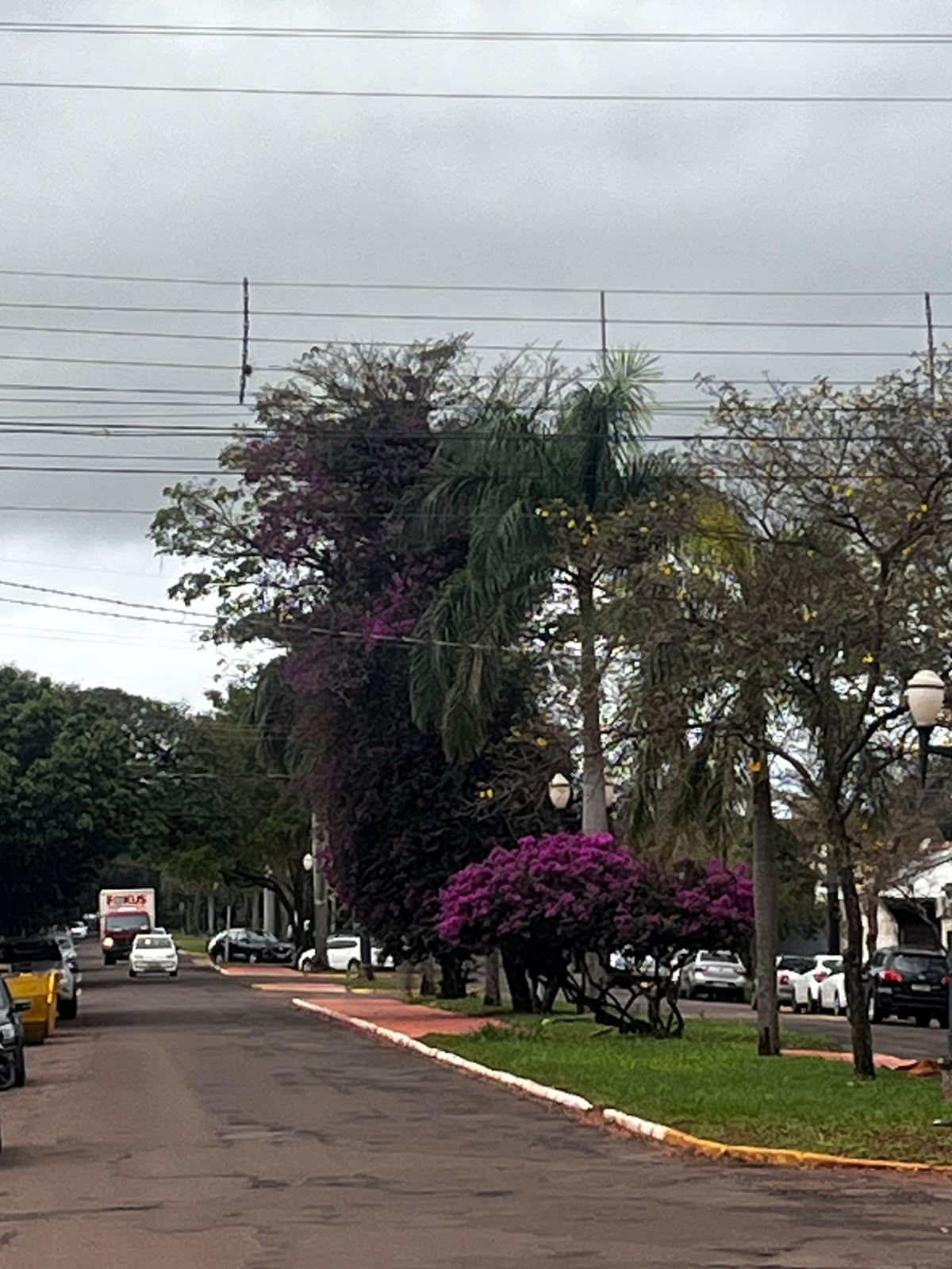Fim de semana começa com calor, mas chuva e ventos fortes voltam a preocupar em Naviraí