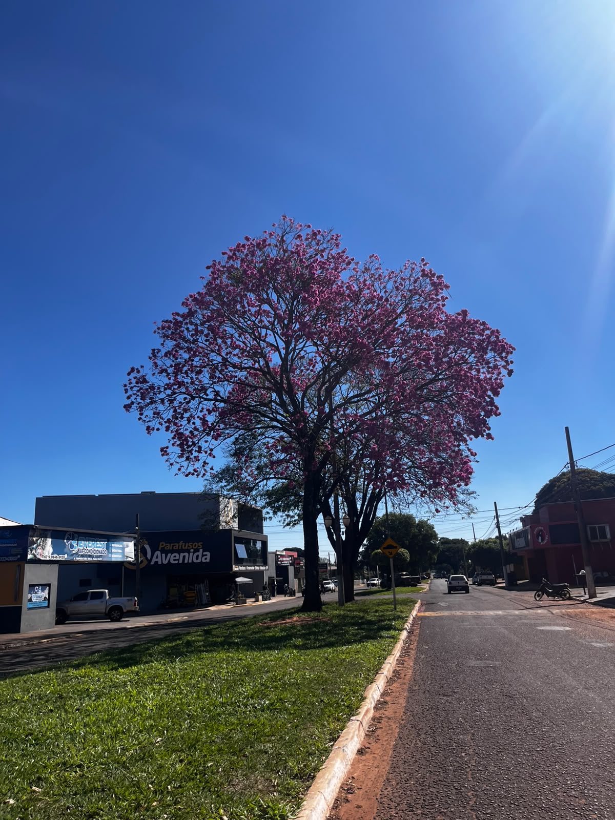 Tempo muda em Naviraí e fim de semana deve ter sol e temperaturas em elevação