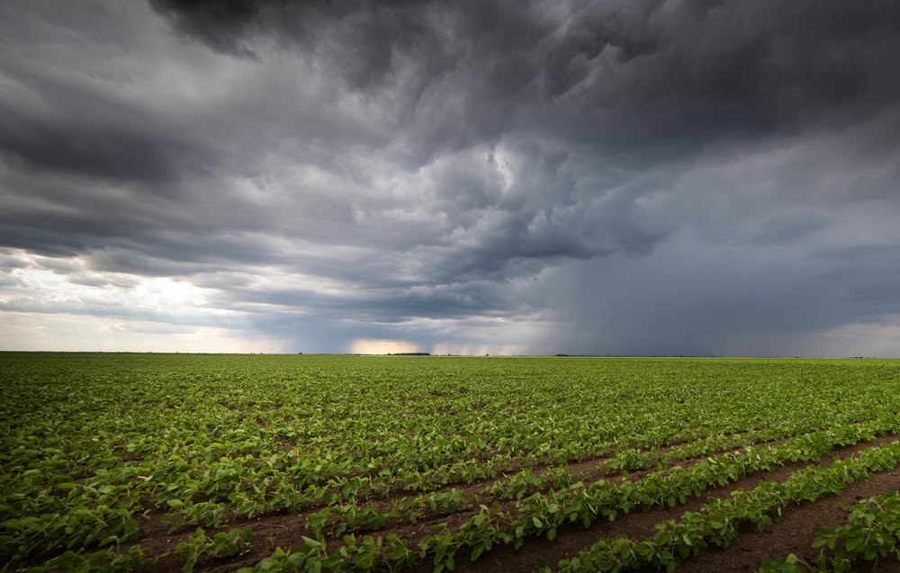 ALERTA DE TEMPESTADES: Naviraí terá mudança no tempo, chuva e queda de temperatura no fim de semana