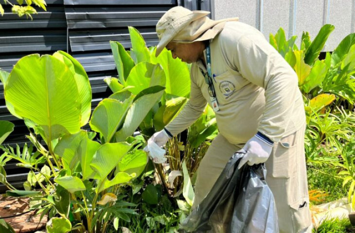 Chikungunya mata 31 pessoas e ultrapassa 10,6 mil casos confirmados em MS