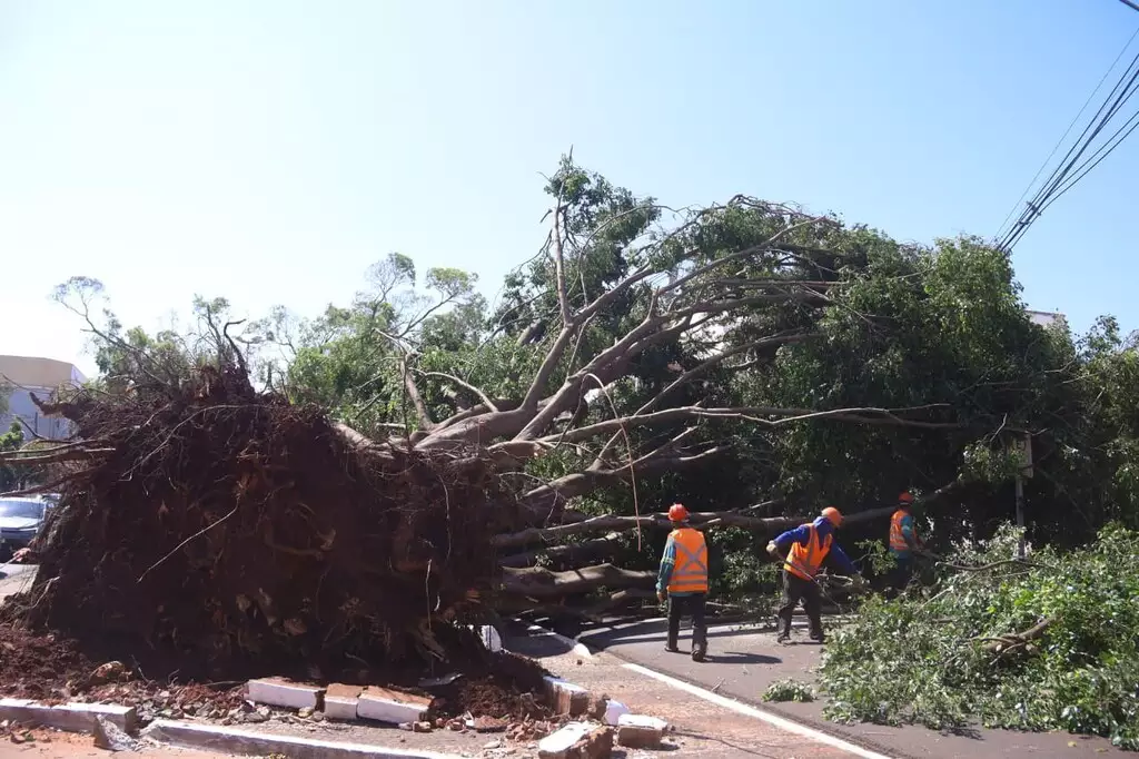 El Niño testa lavouras, cidades e a capacidade de reação do poder público